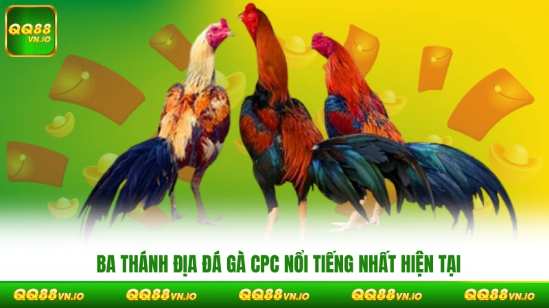 Ba thánh địa đá gà CPC nổi tiếng nhất hiện tại