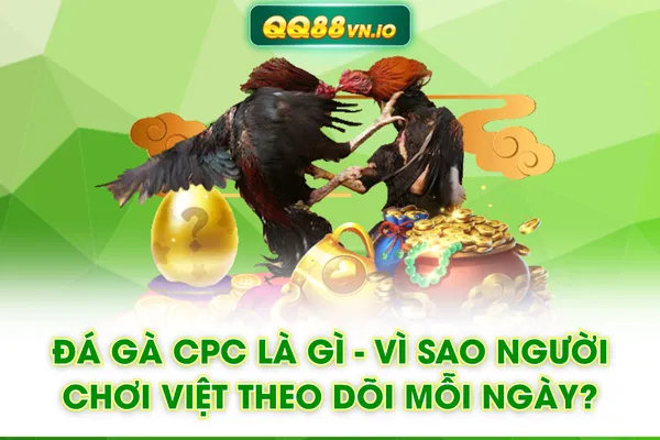 Đá Gà Cpc Là Gì? Vì Sao Người Chơi Việt Theo Dõi Mỗi Ngày?