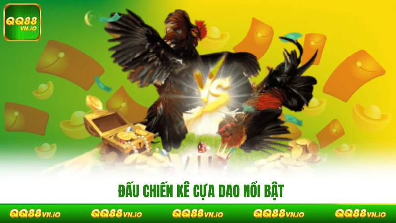 Đấu chiến kê cựa dao nổi bật