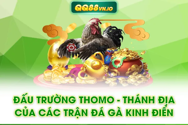 Đấu Trường Thomo - Thánh Địa Của Các Trận Đá Gà Kinh Điển