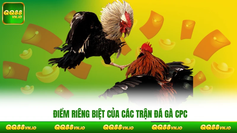 Điểm riêng biệt của các trận đá gà CPC