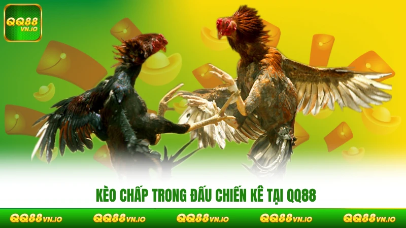 Kèo chấp trong đấu chiến kê tại QQ88
