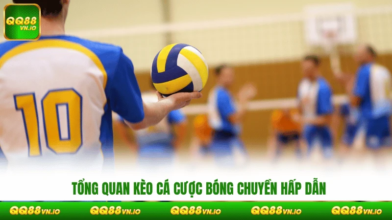 Tổng quan kèo cá cược bóng chuyền hấp dẫn